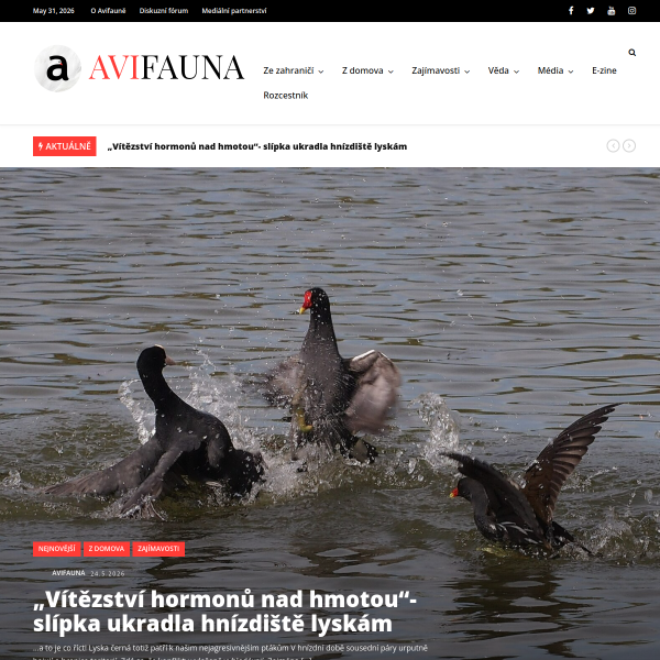 avifauna.cz