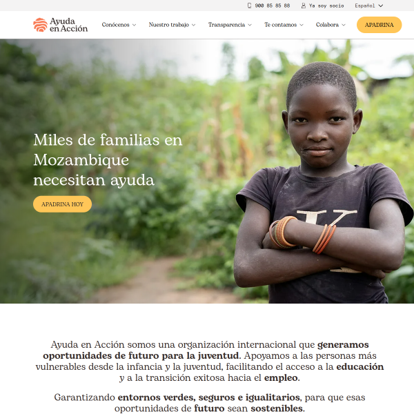 ayudaenaccion.org