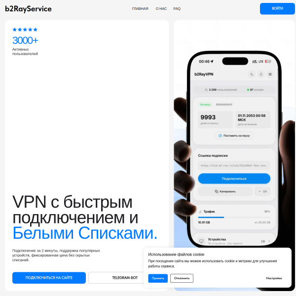 b2-ray.ru