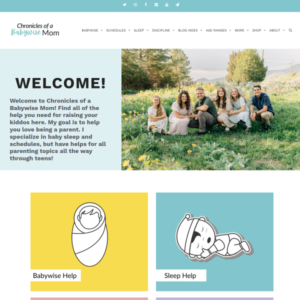 babywisemom.com
