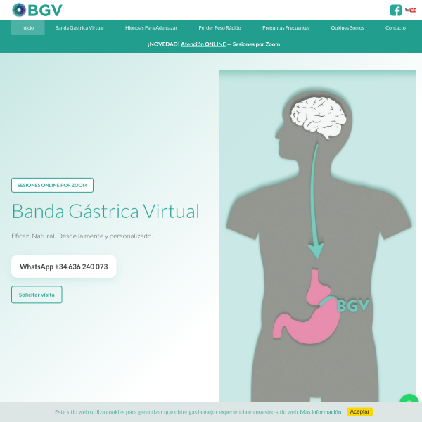bandagastricavirtual.es