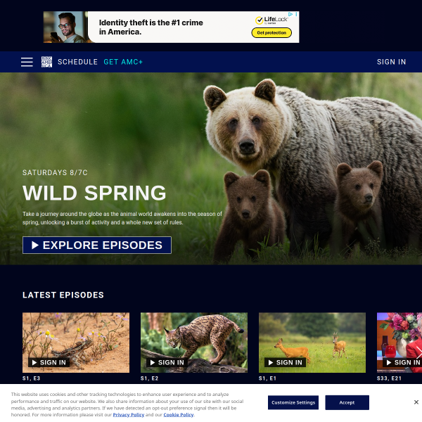 bbcamerica.com
