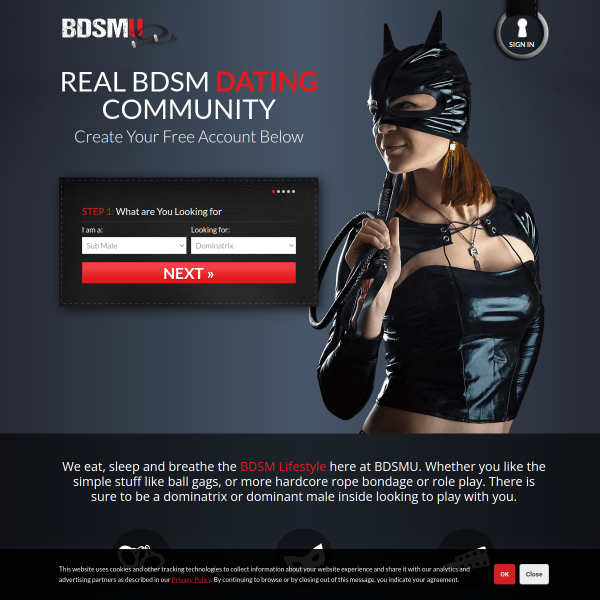 bdsmu.com