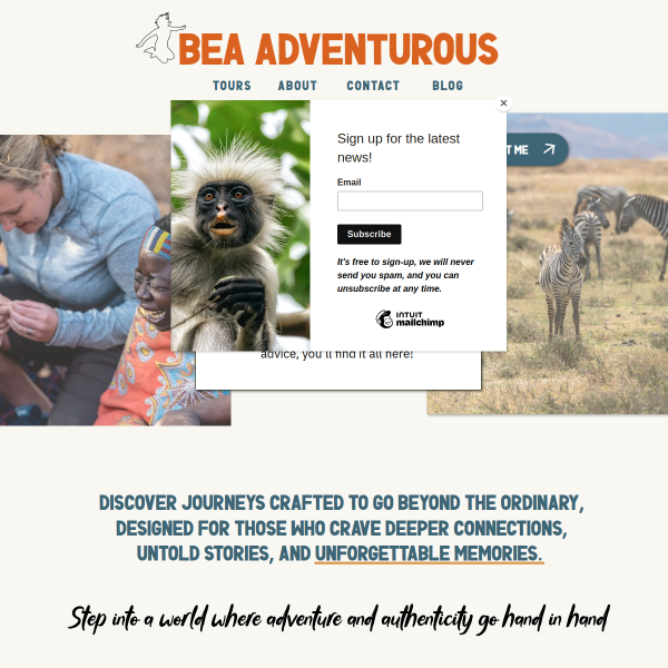 bea-adventurous.com