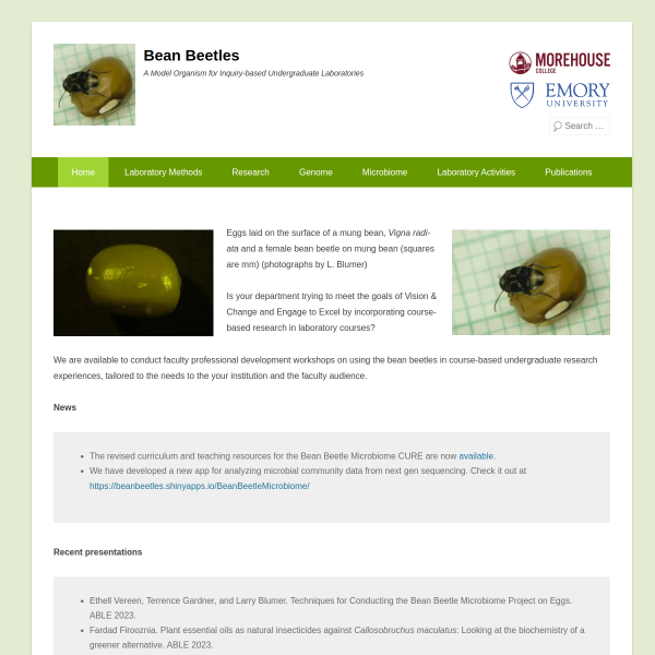 beanbeetle.org