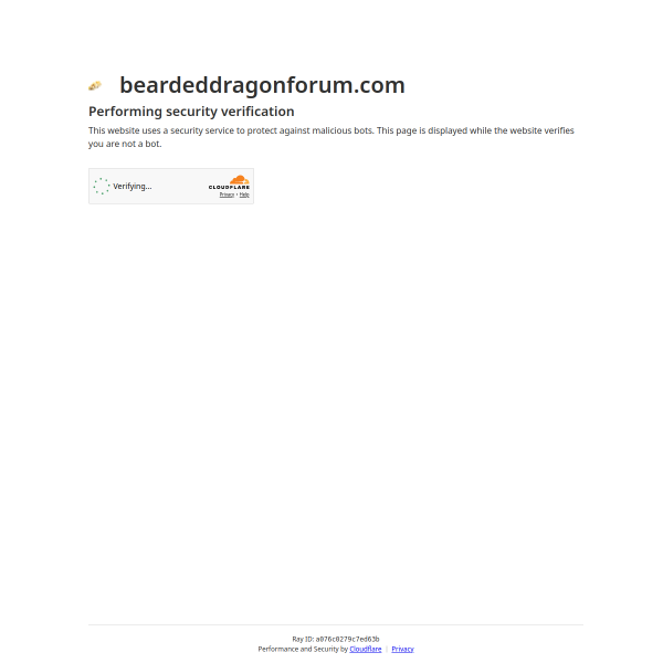 beardeddragonforum.com
