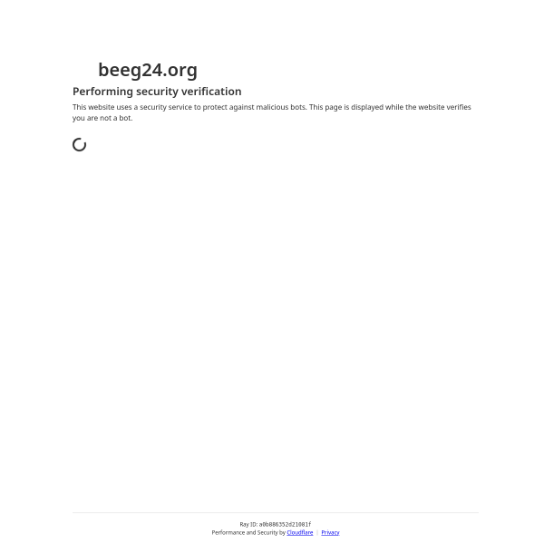 beeg24.org