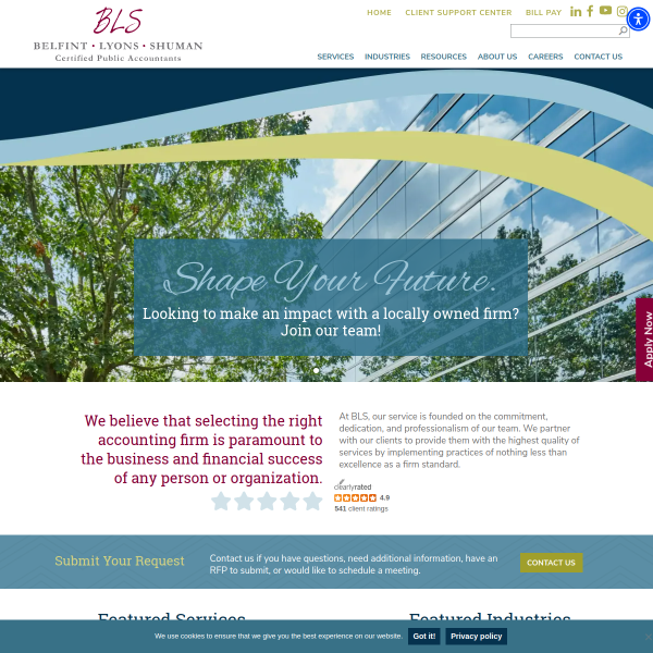 belfint.com