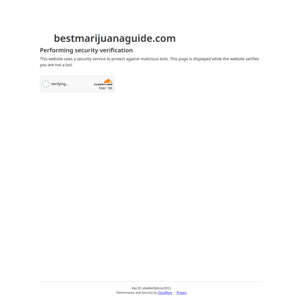 bestmarijuanaguide.com