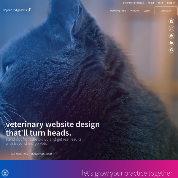 beyondindigopets.com