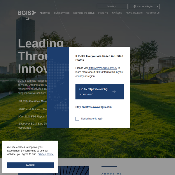 bgis.com