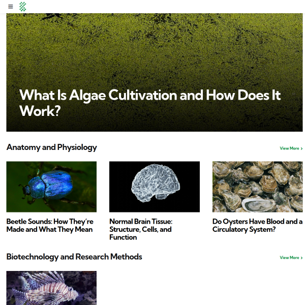 biologyinsights.com