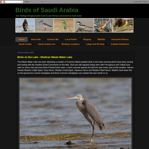 birdsofsaudiarabia.com