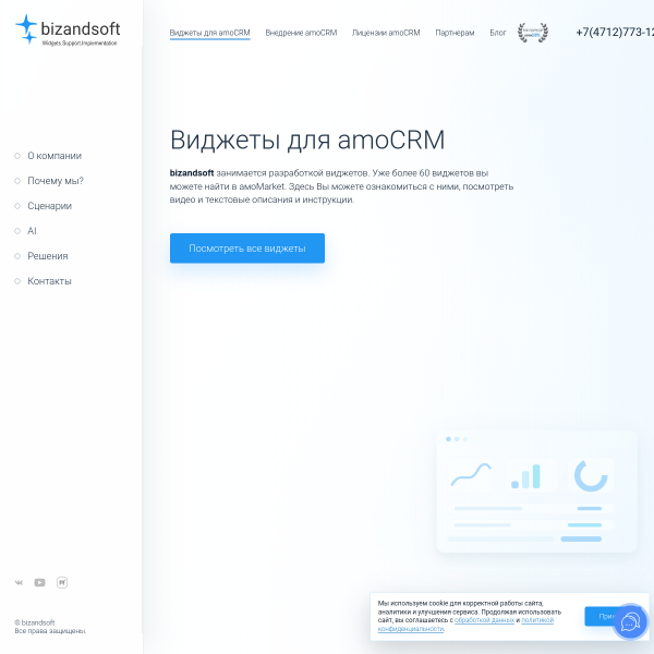 bizandsoft.ru