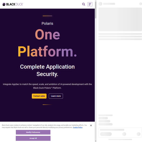 blackduck.com