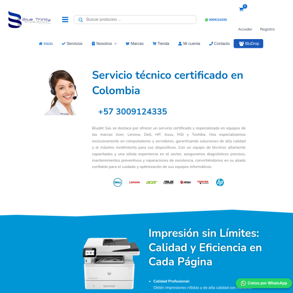 bludet.com