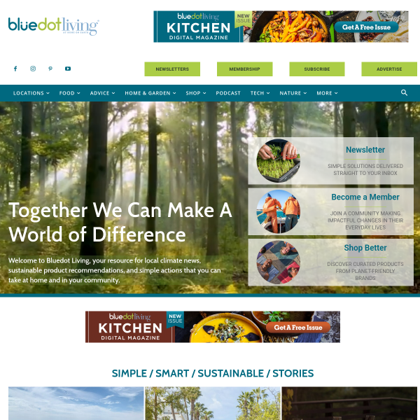 bluedotliving.com