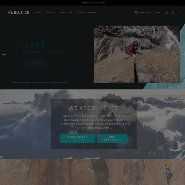 blueice.com