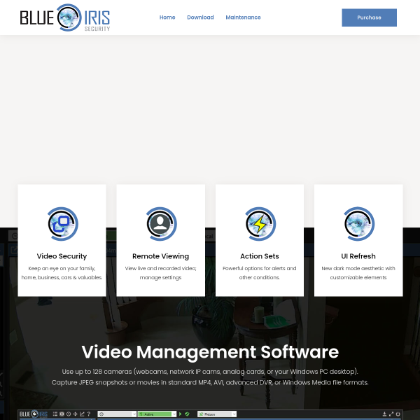 blueirissoftware.com