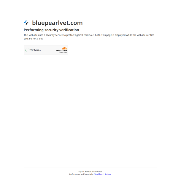 bluepearlvet.com