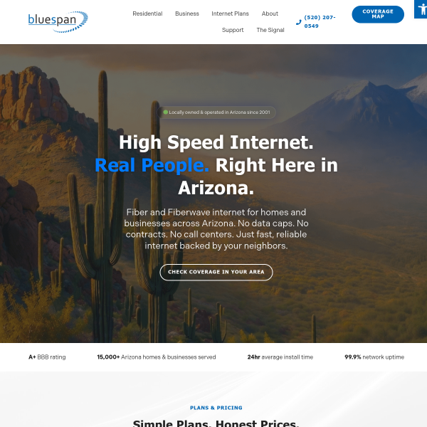 bluespan.com