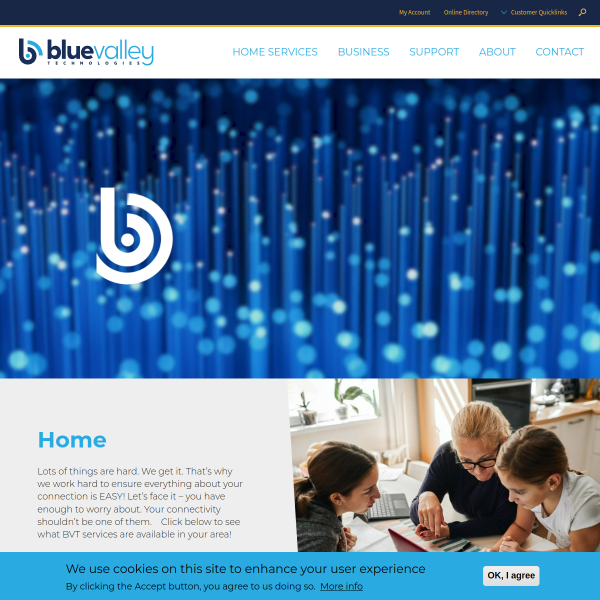 bluevalley.net