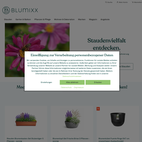 blumixx.de
