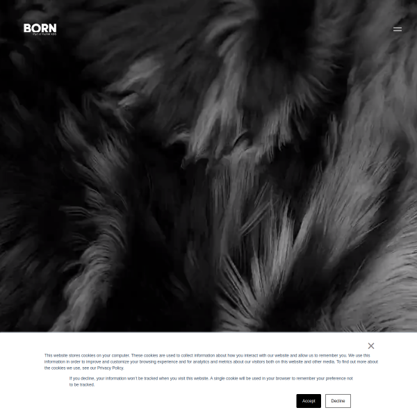 borngroup.com