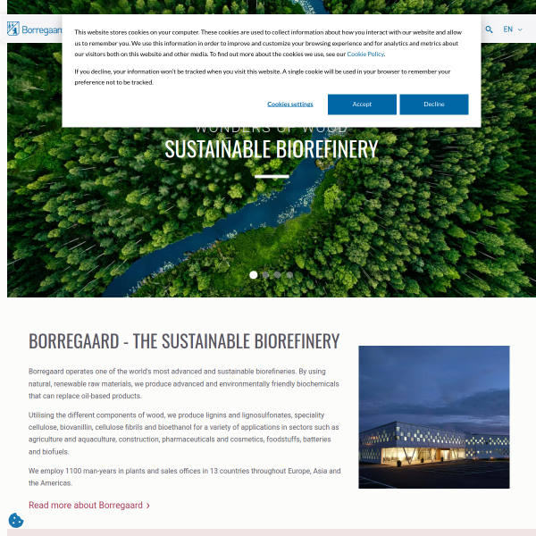 borregaard.com