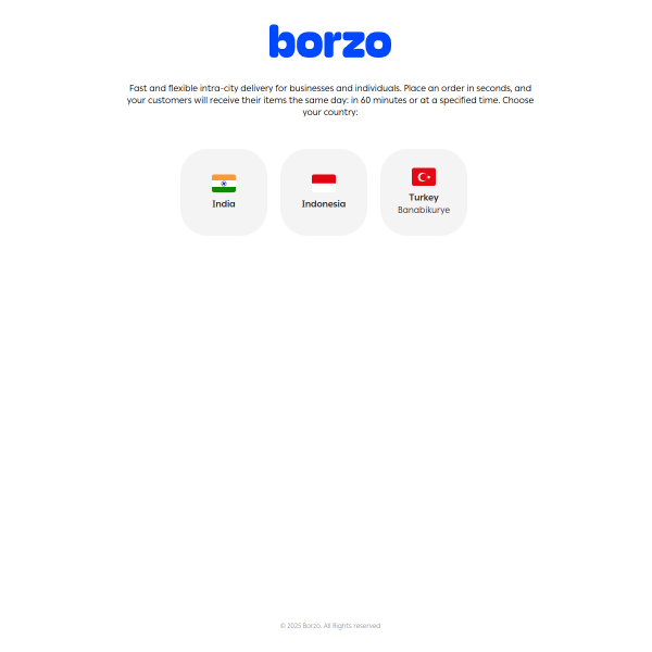 borzodelivery.com