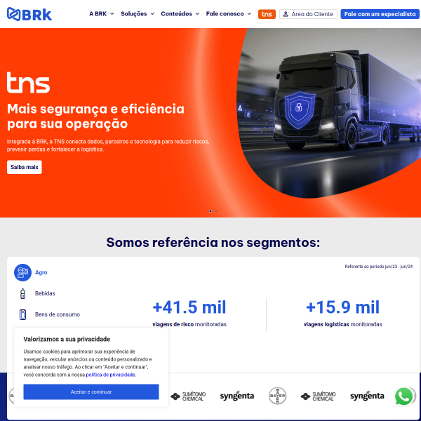 brasilrisk.com.br