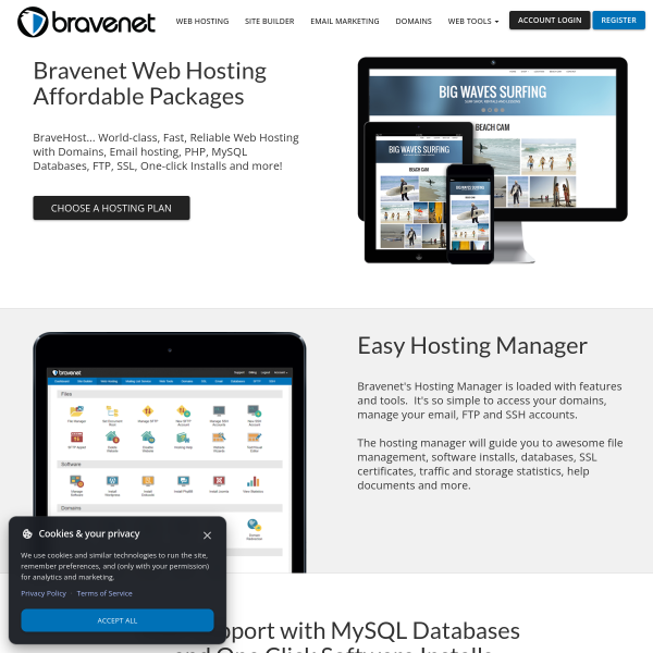 bravehost.com