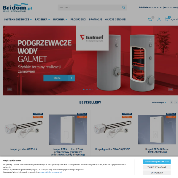 bridom.pl