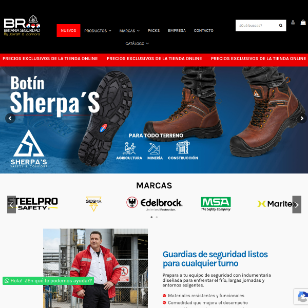 britaniaseguridad.cl