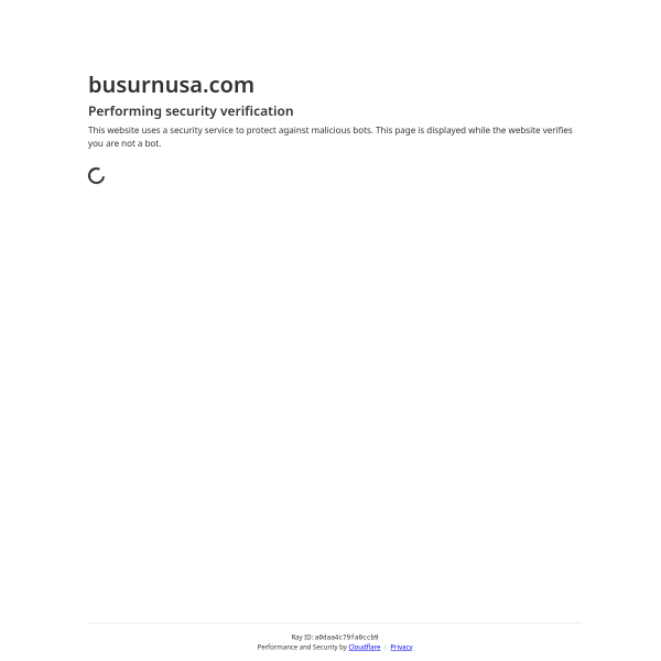 busurnusa.com