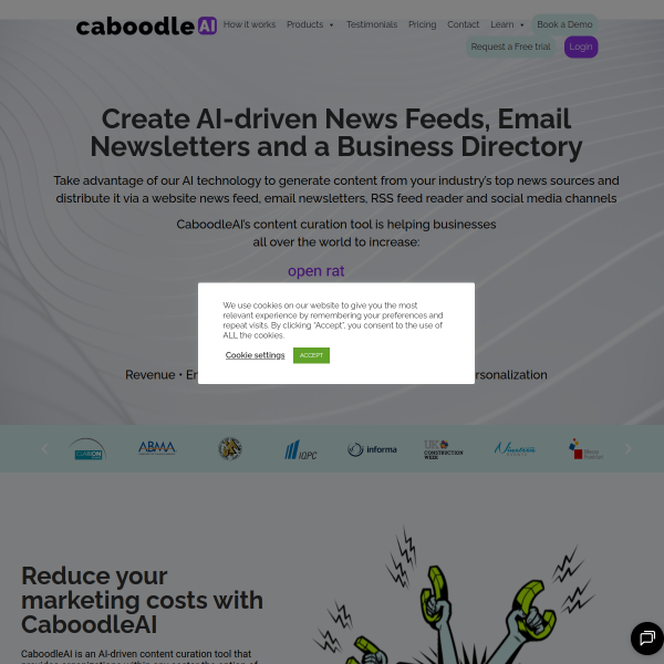 caboodleai.net