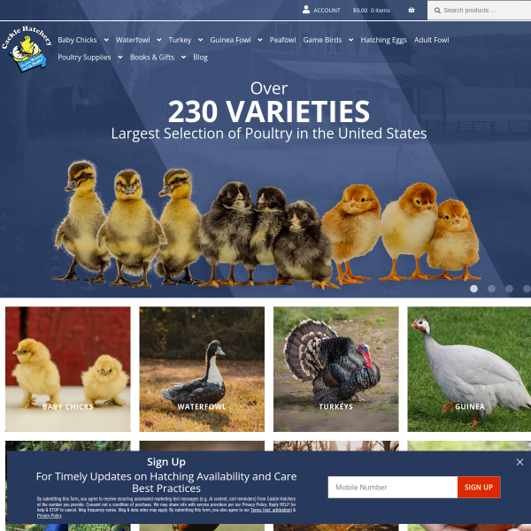 cacklehatchery.com
