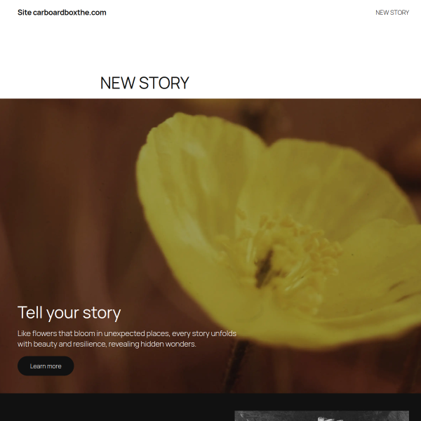 carboardboxthe.com