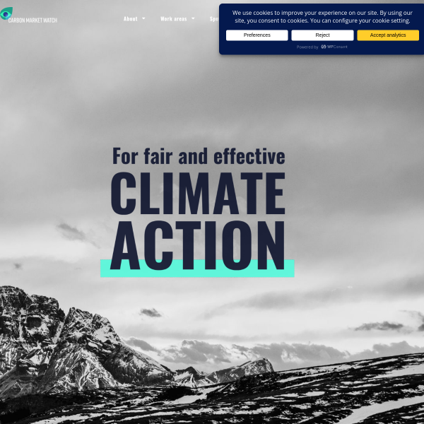 carbonmarketwatch.org
