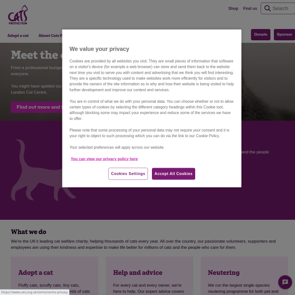 cats.org.uk