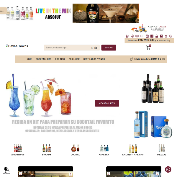 cavastowns.com