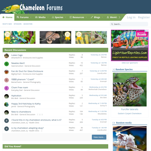 chameleonforums.com