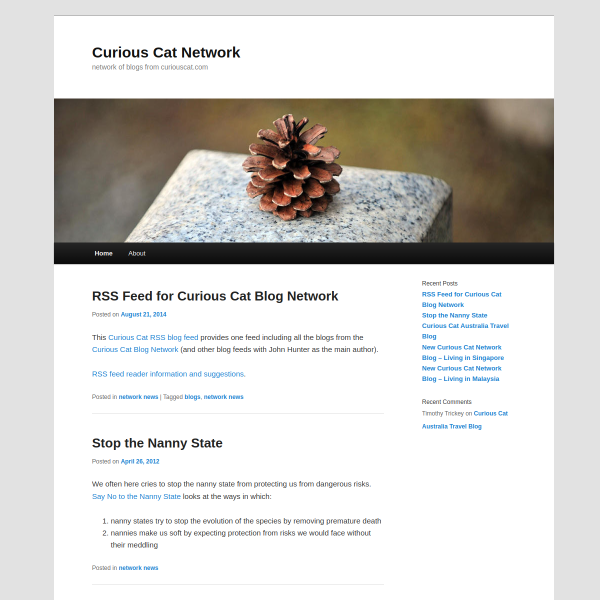 curiouscatnetwork.com