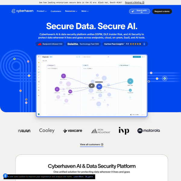 cyberhaven.io