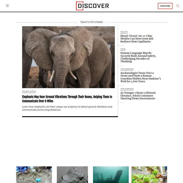 discovermagazine.com