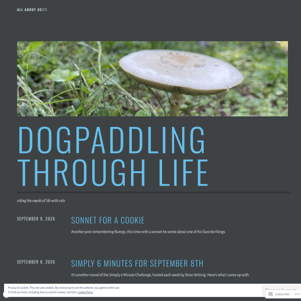 dogpaddlingthroughlife.com