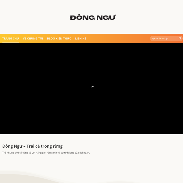 dongngu.com