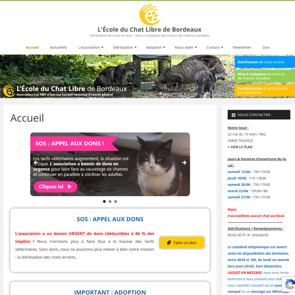ecole-du-chat-bordeaux.com