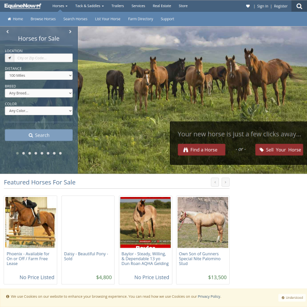 equinenow.com