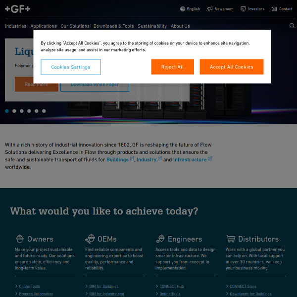 georgfischer.com